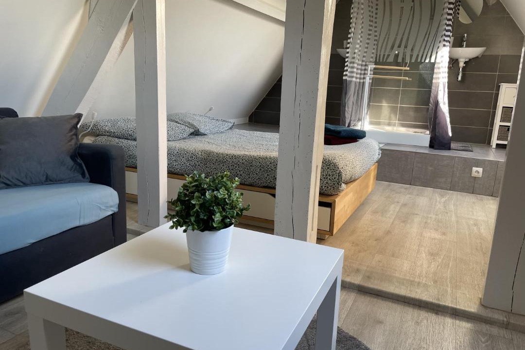 Photo of Others in Blois