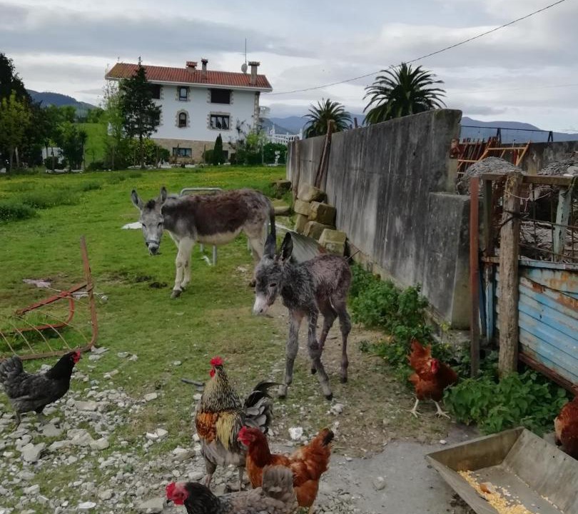 Photo of Others in Olaskoegia