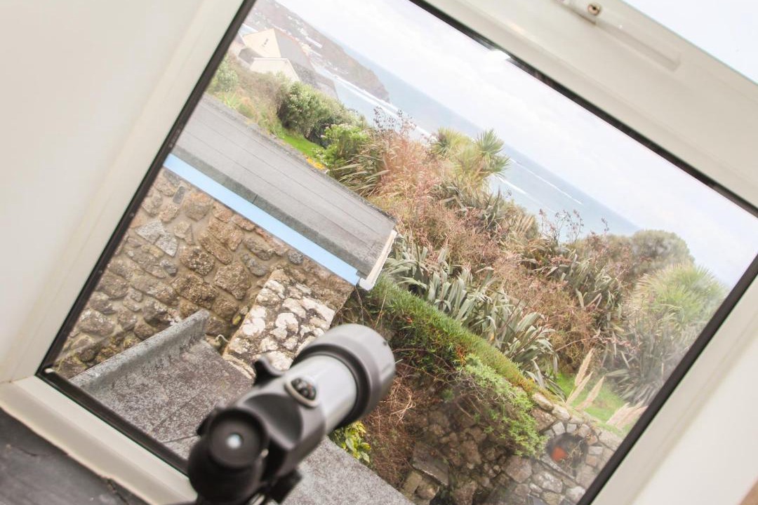 Photo of Others in Penzance