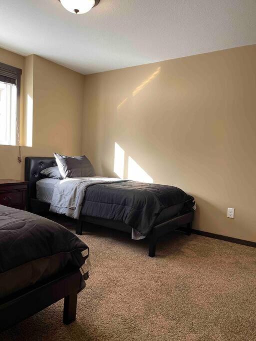 Photo of Others in Rochester