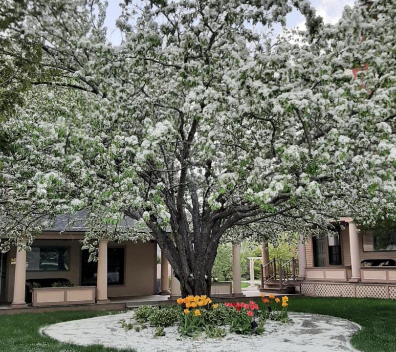 Photo of Others in Jackson