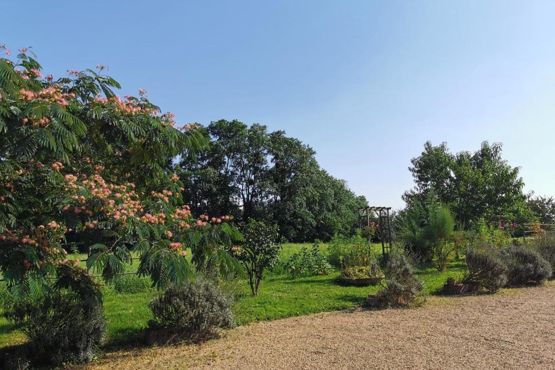 Photo of Outdoor in Bruailles
