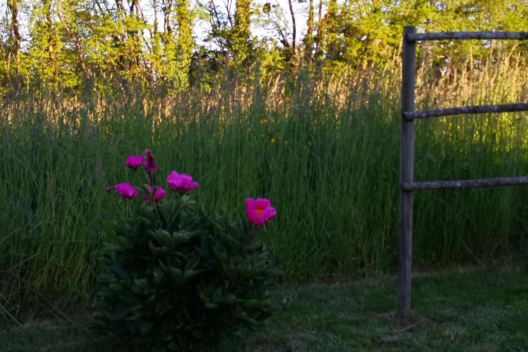Photo of Outdoor in Bruailles