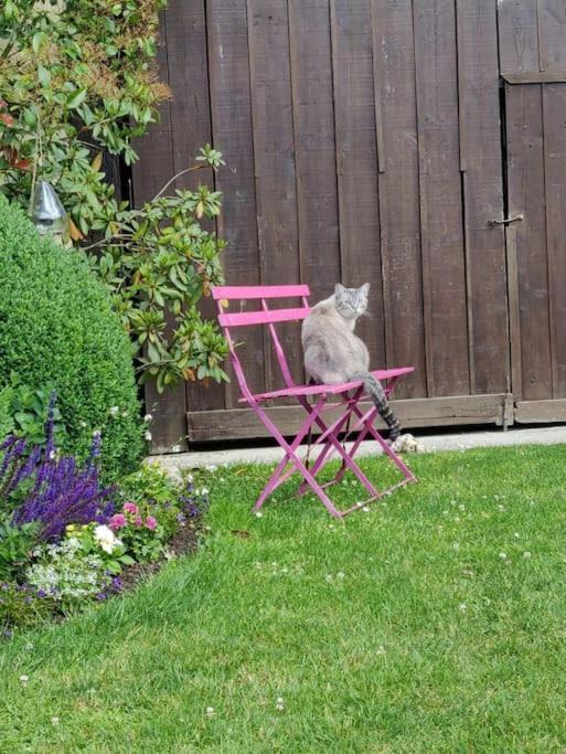 Photo of Others in La Neuville-aux-Bois