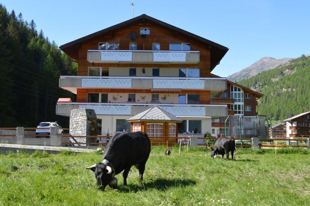 Photo of Buildings in Saas Grund
