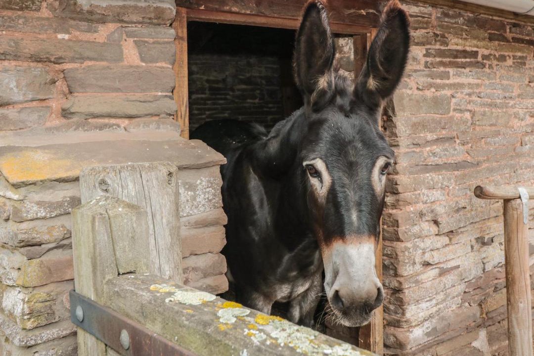 Photo of Others in Westbrook Court