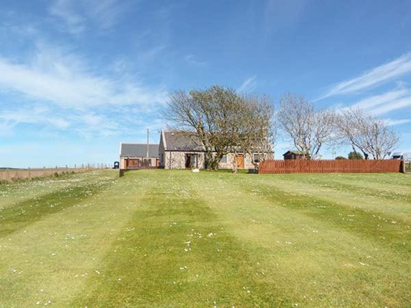 Photo of Others in Ellon