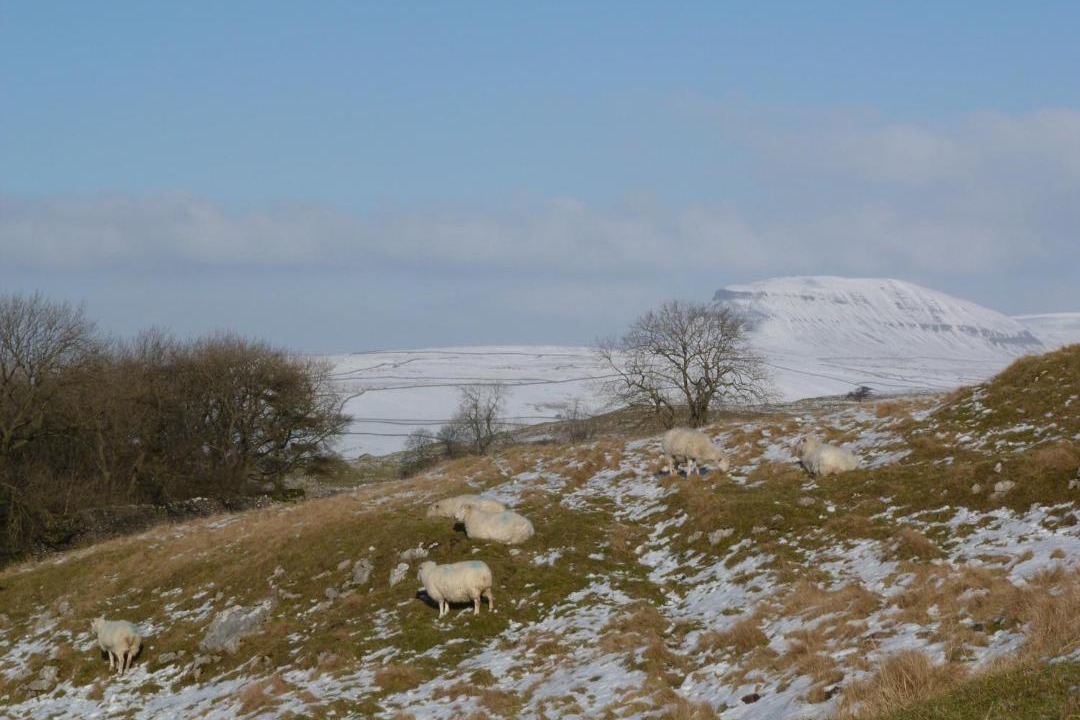 Photo of Outdoor in Giggleswick