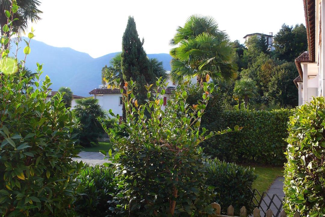Photo of Others in Ascona