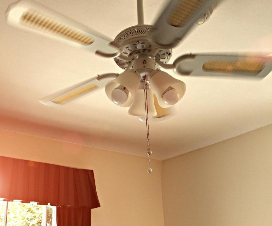 Photo of Others in Canterbury