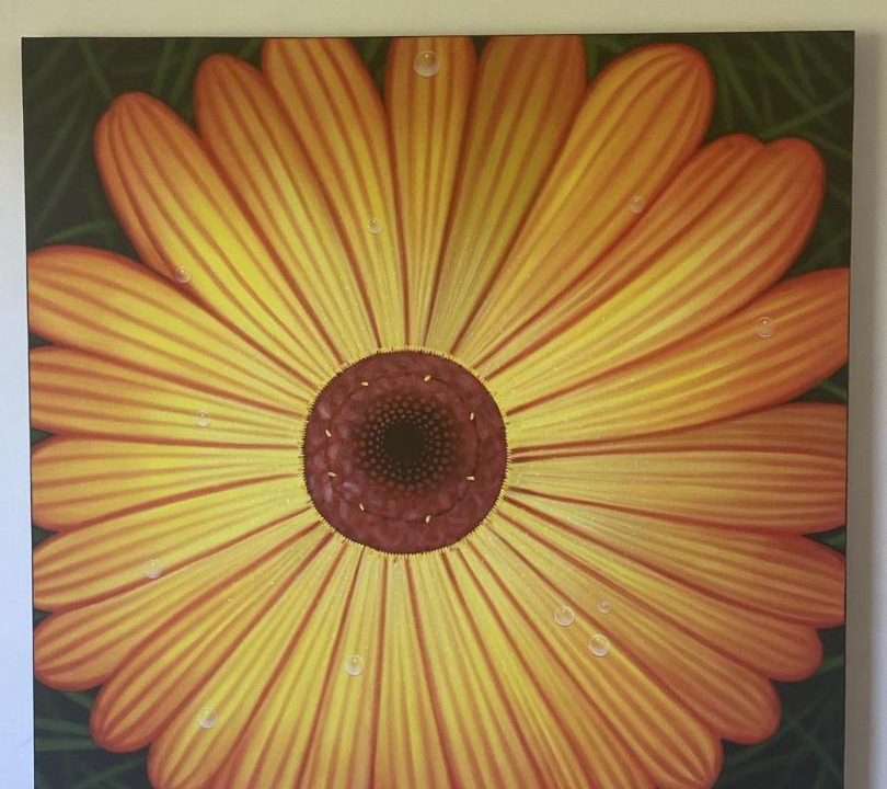 Photo of Others in Culburra Beach