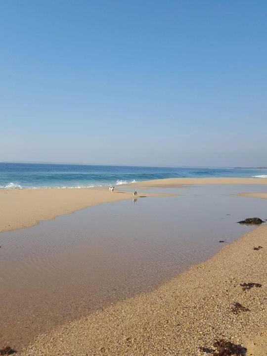 Photo of Outdoor in Culburra Beach
