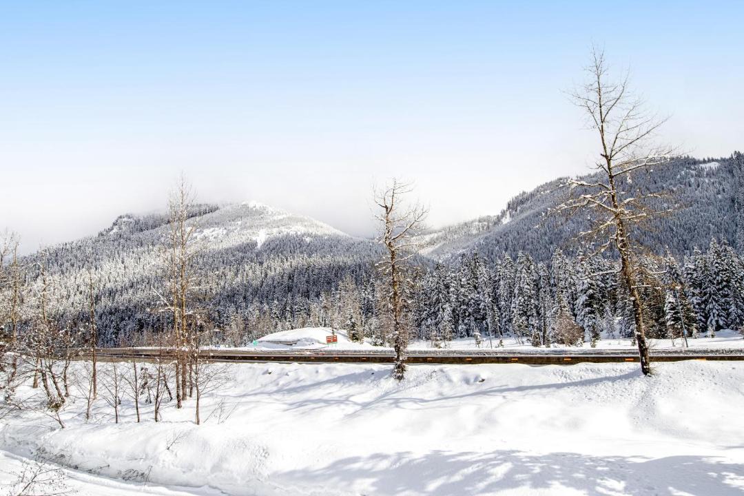 Photo of Others in Snoqualmie Pass