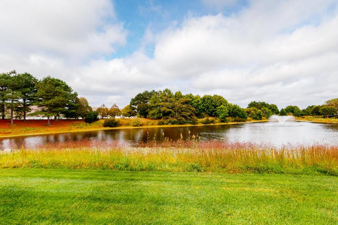 Photo of Others in Ocean View