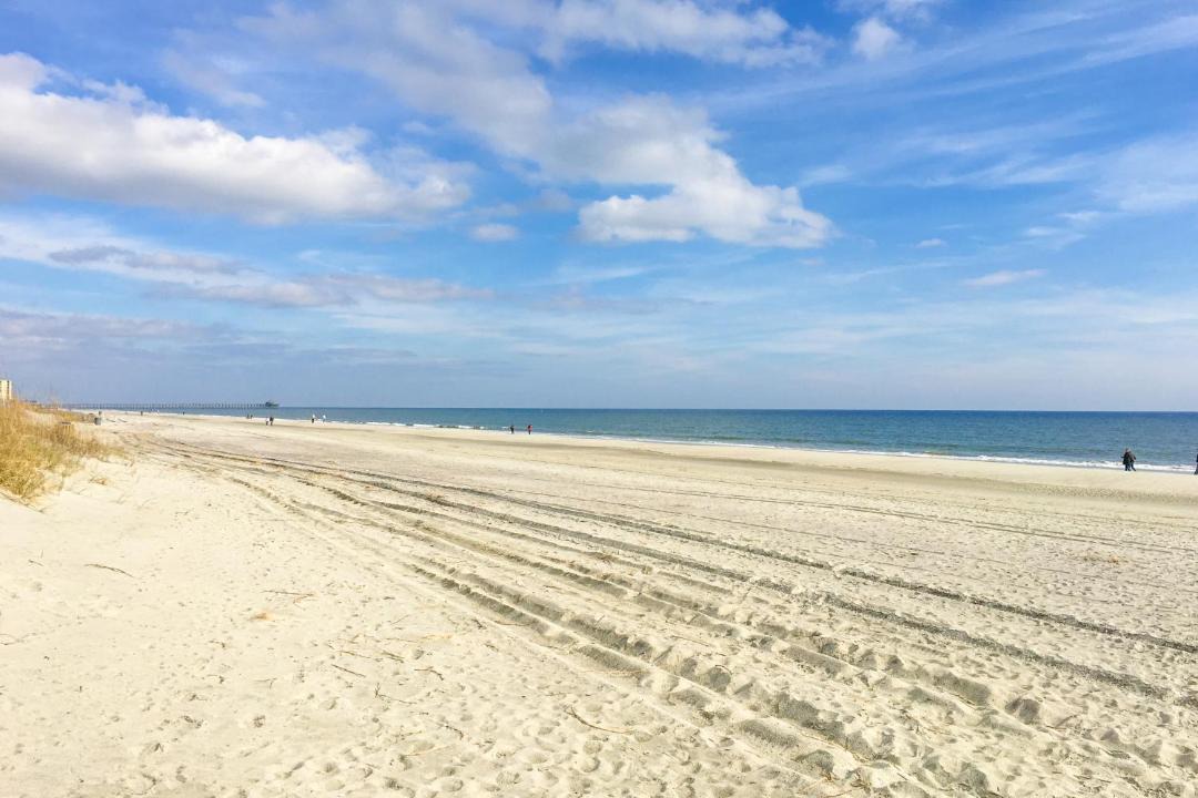 Photo of Others in Cherry Grove Beach
