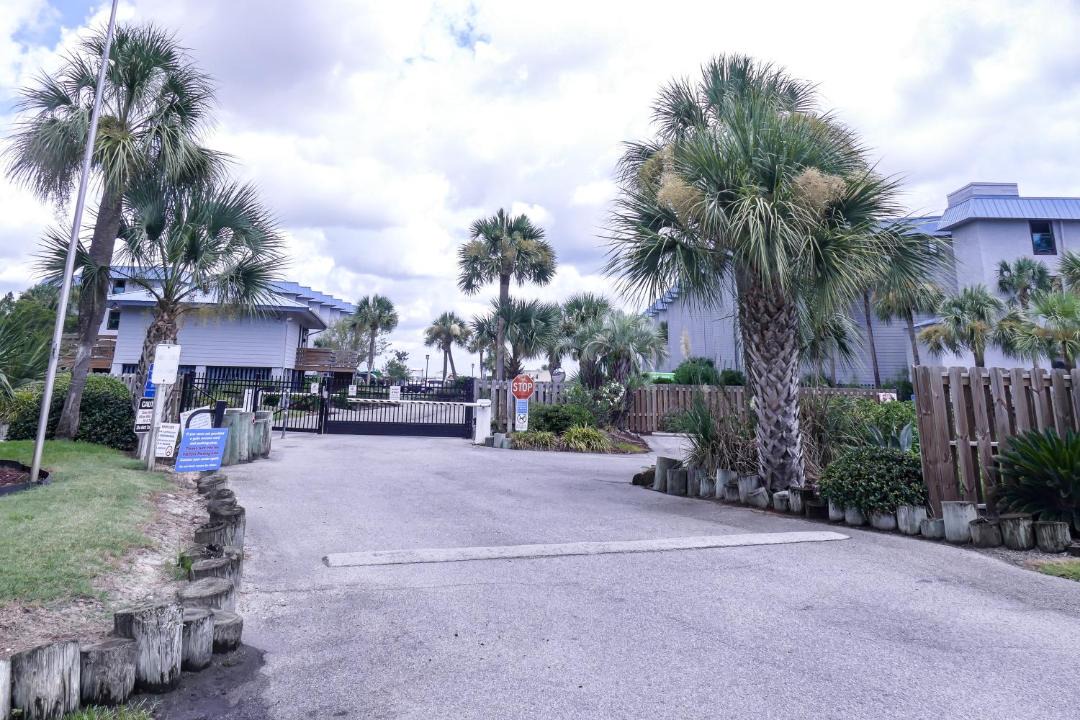 Photo of Others in Tybee Island