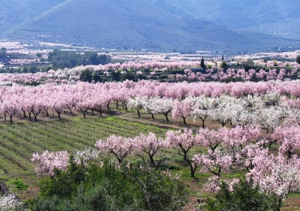 Photo of Outdoor in Alcalali