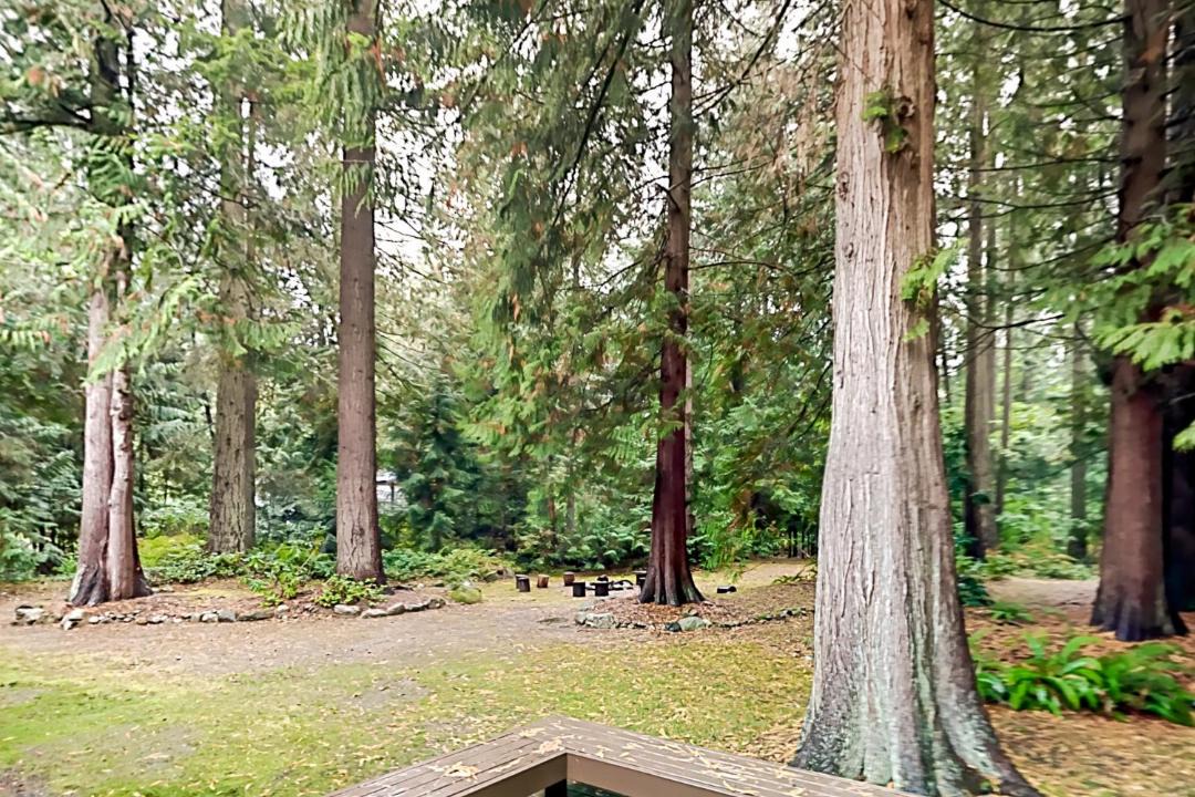 Photo of Others in Woodinville