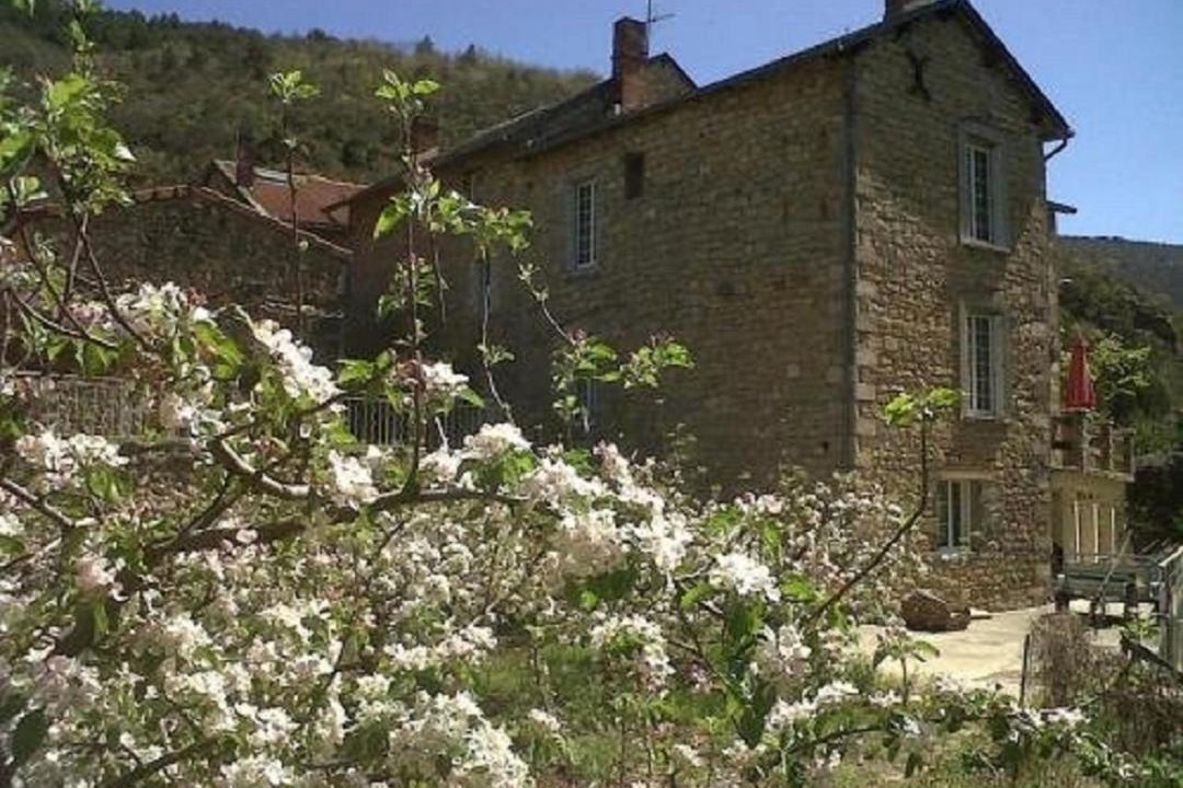 Photo of Others in Boyne