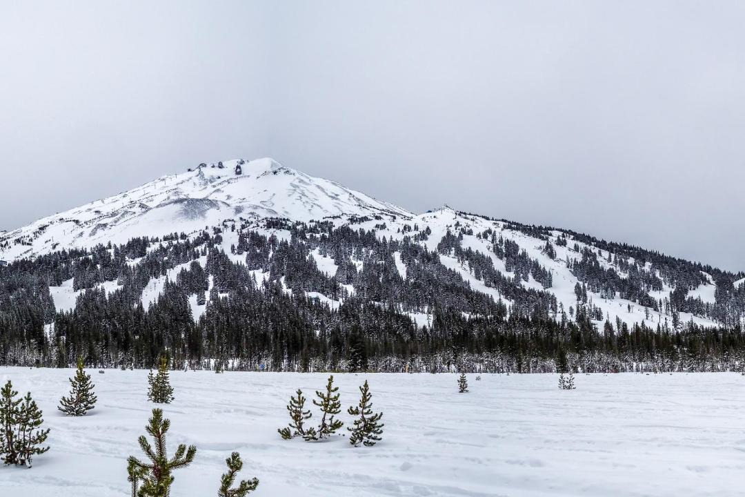 Photo of Others in Bend