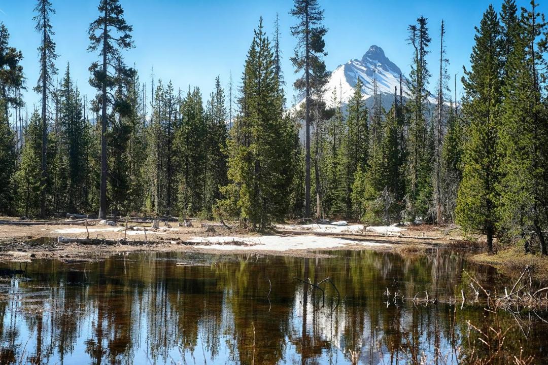 Photo of Others in Bend