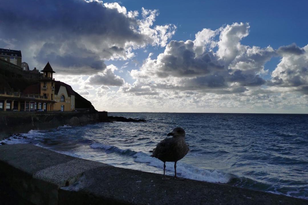 Photo of Others in Saint-Martin de Brehal