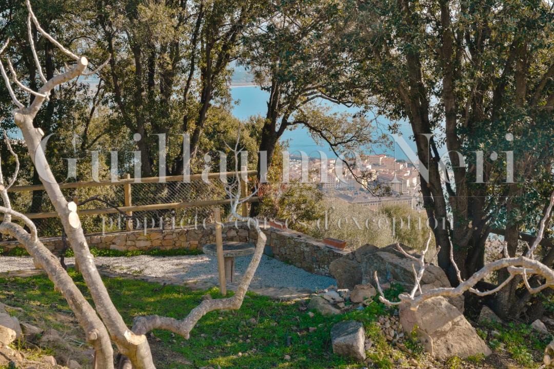 Photo of Others in Ajaccio