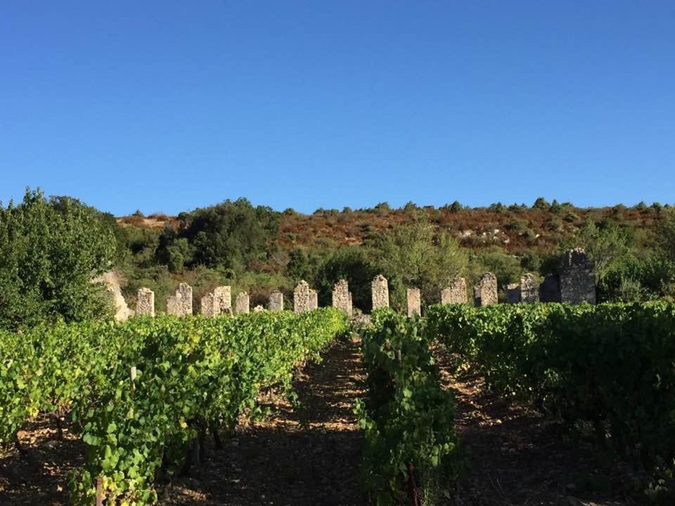 Photo of Others in Saint-Remeze