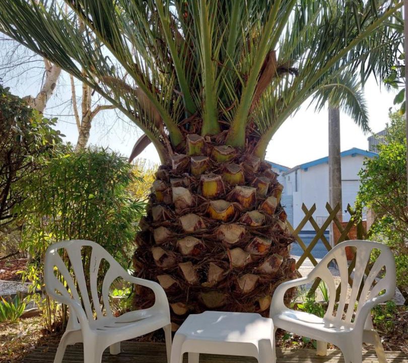 Photo of Others in Quartier de l'Hippodrome