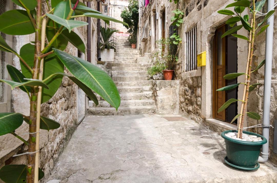 Photo of Others in Dubrovnik Old Town