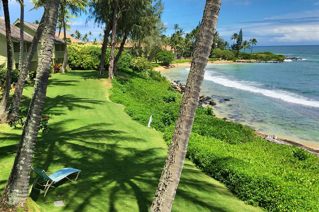 Photo of Others in Wailua