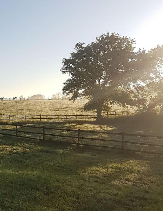 Photo of Buildings in Missillac