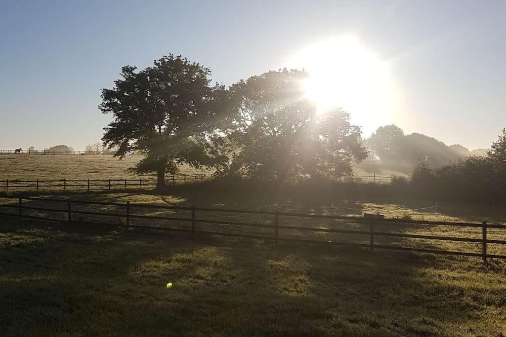 Photo of Others in Missillac