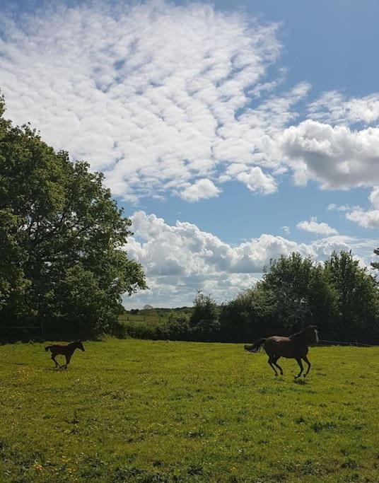 Photo of Others in Missillac