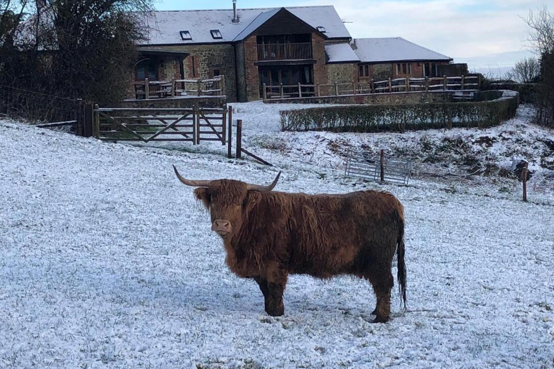 Photo of Others in Pulham