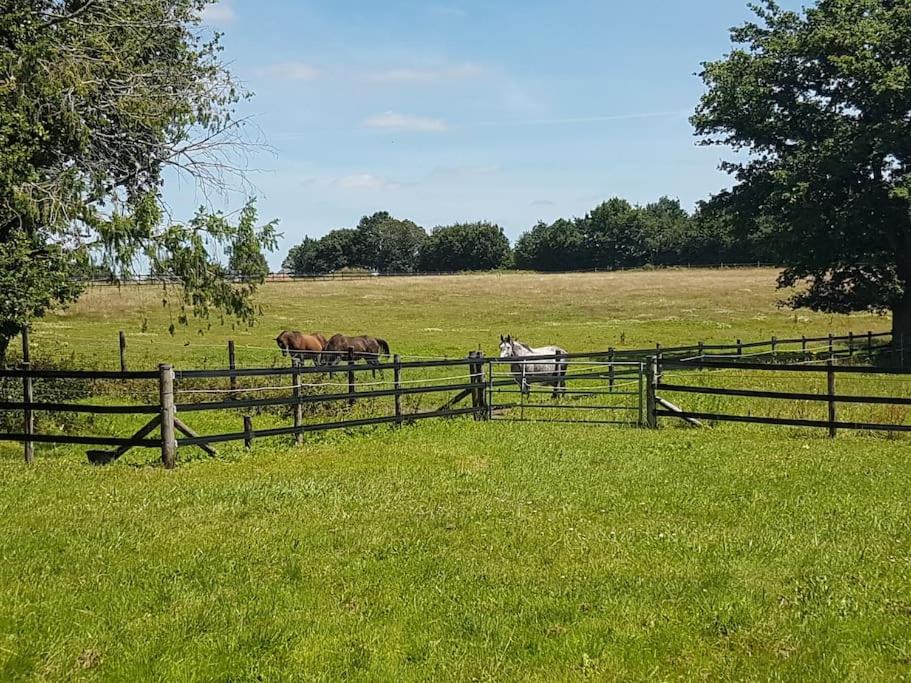 Photo of Others in Missillac