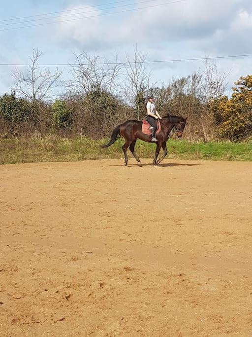 Photo of Outdoor in Missillac