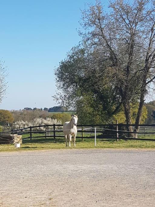 Photo of Others in Missillac