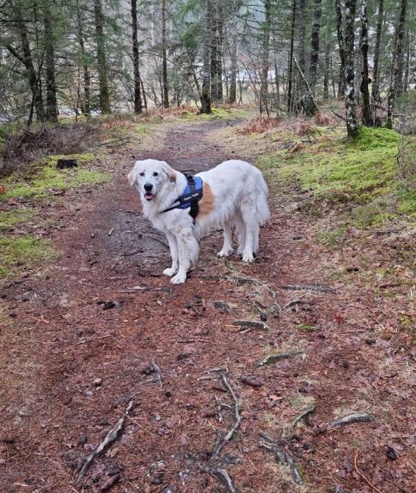 Photo of Others in Bugeat