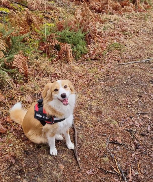 Photo of Others in Bugeat