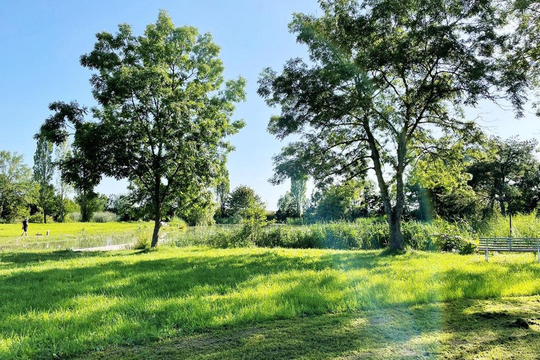 Photo of Others in Solgne