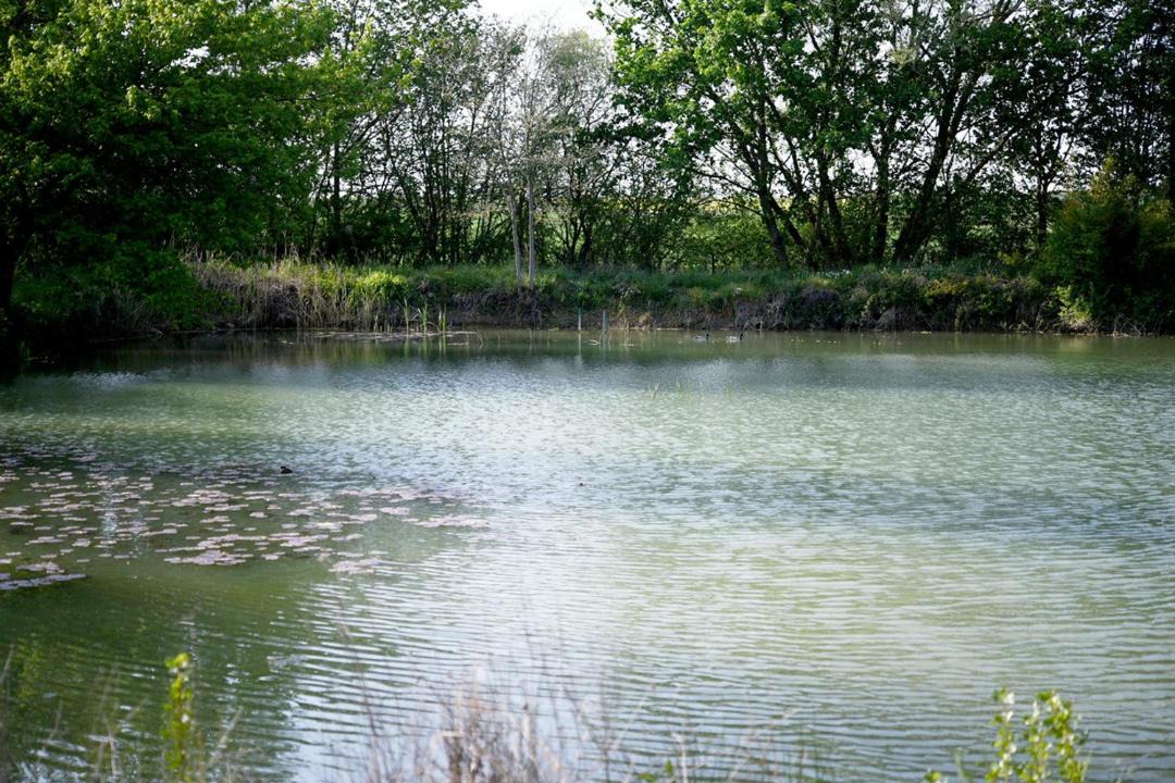 Photo of Others in Solgne