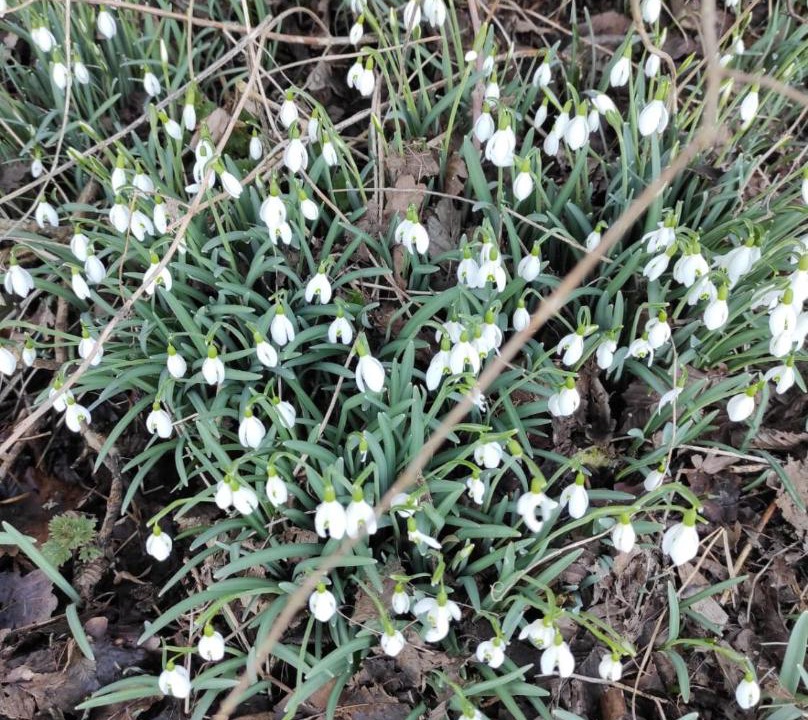 Photo of Patio Balcony in Carly