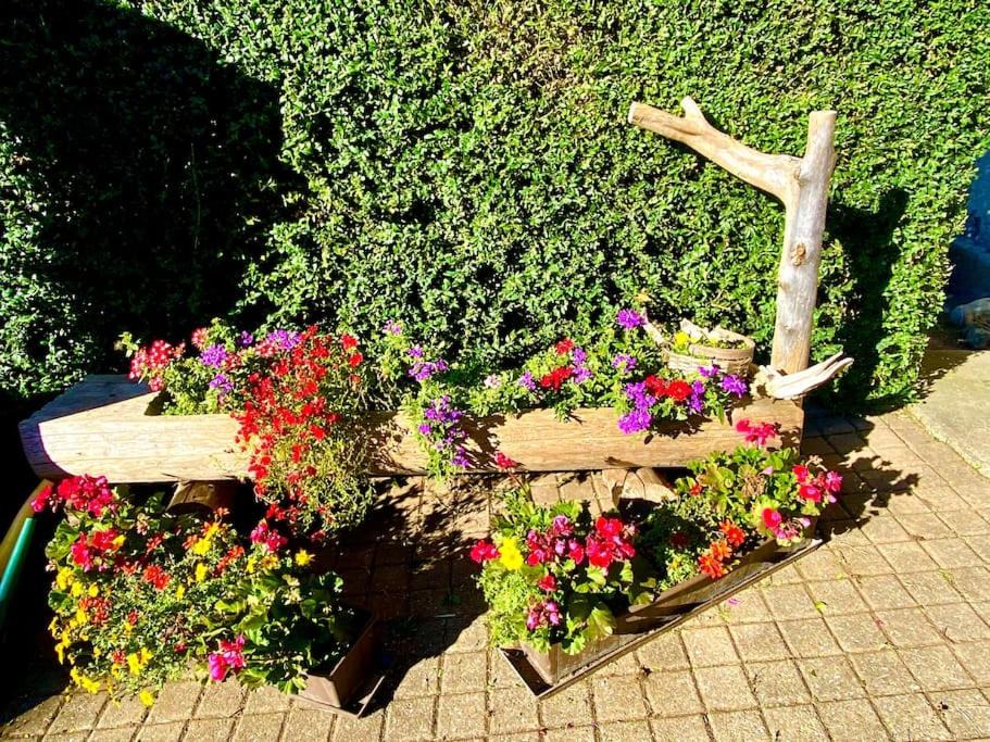 Photo of Others in St. Stephan