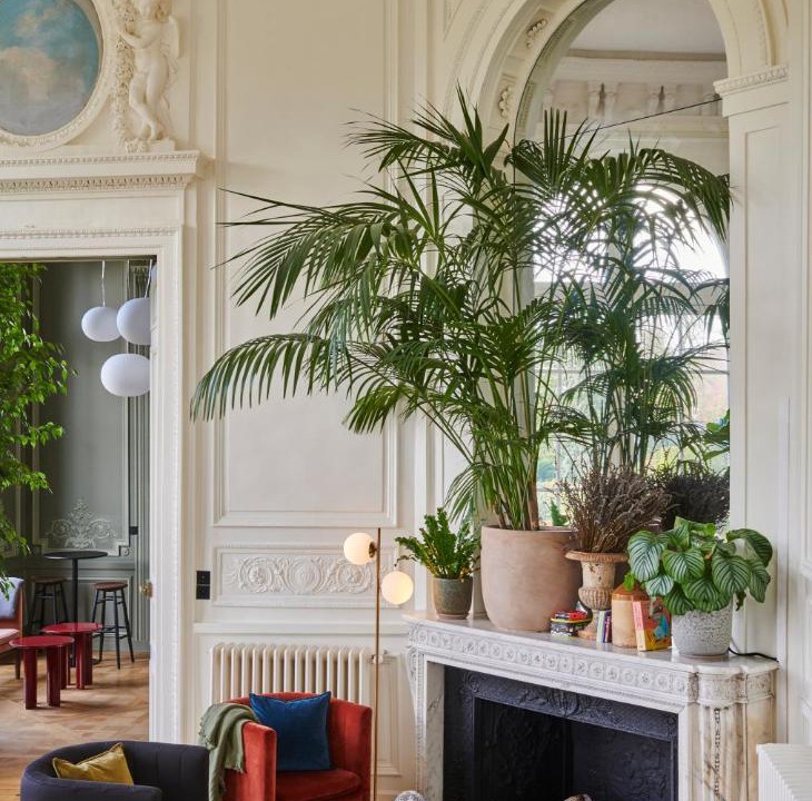 Photo of Others in Saint-Germain-en-Laye