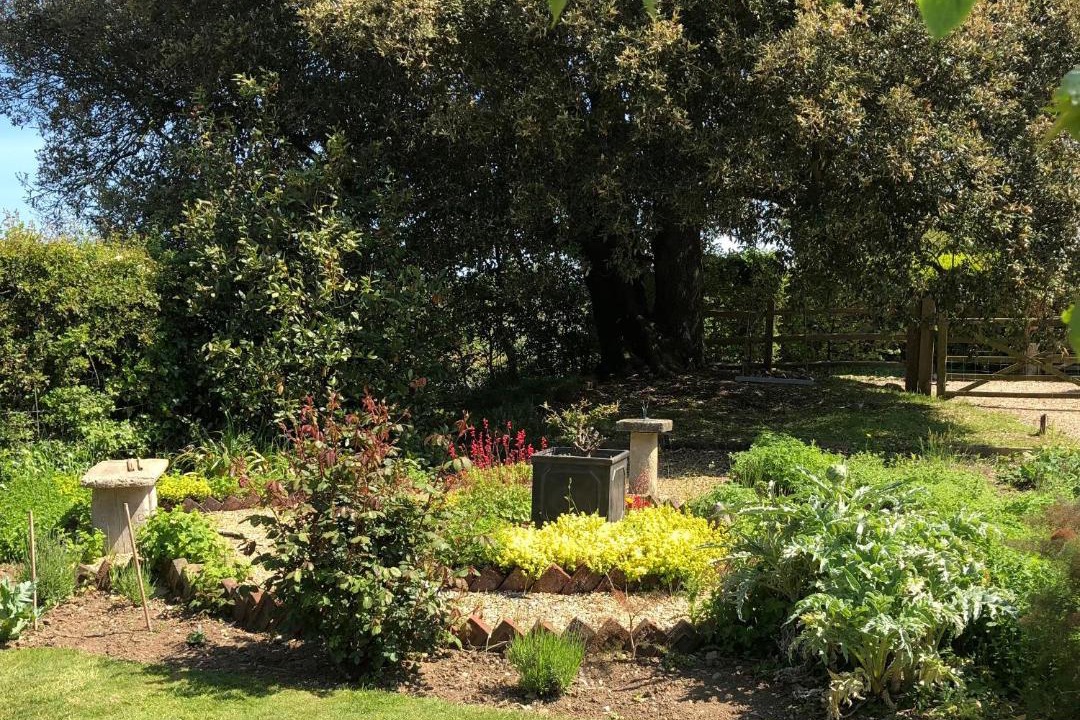 Photo of Others in Godshill