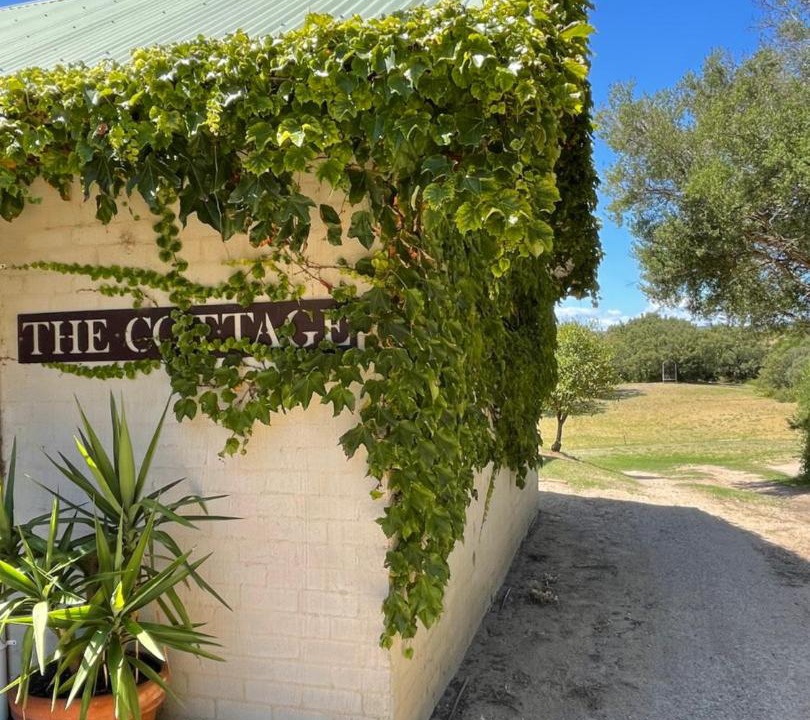 Photo of Others in Fingal