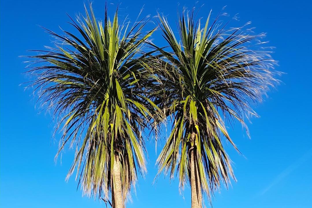 Photo of Others in Buckie