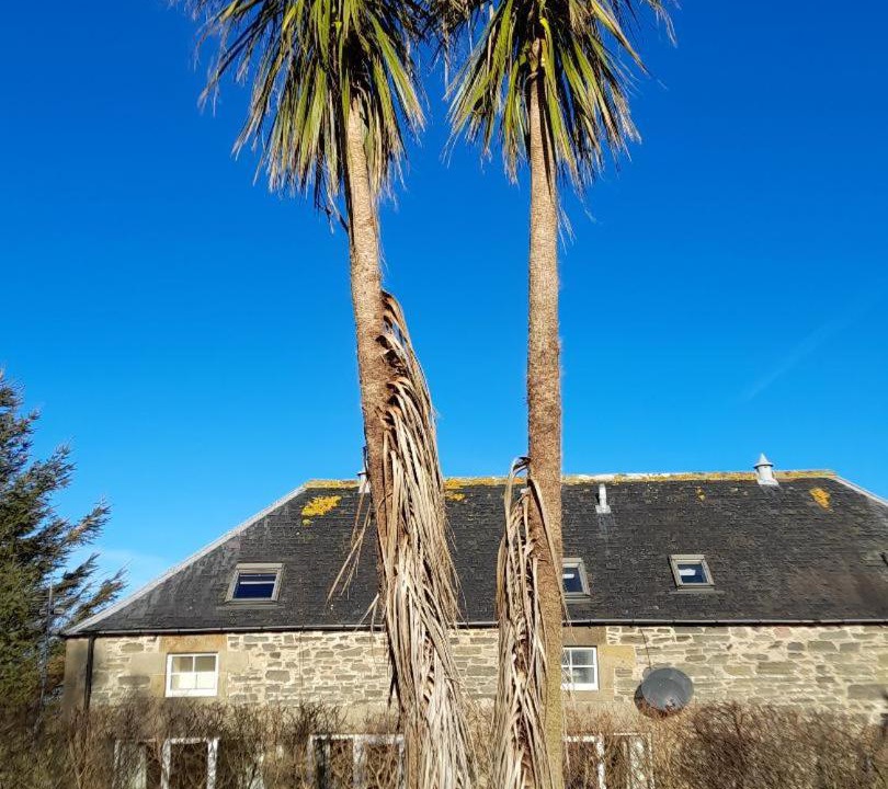 Photo of Others in Buckie