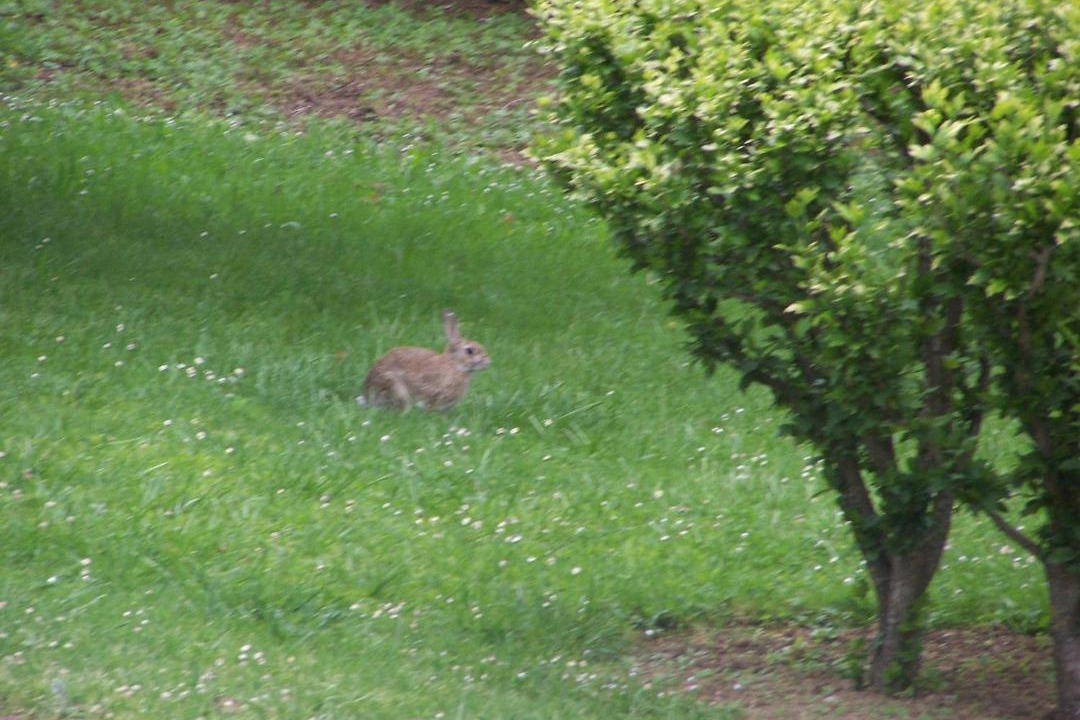 Photo of Others in Tabre